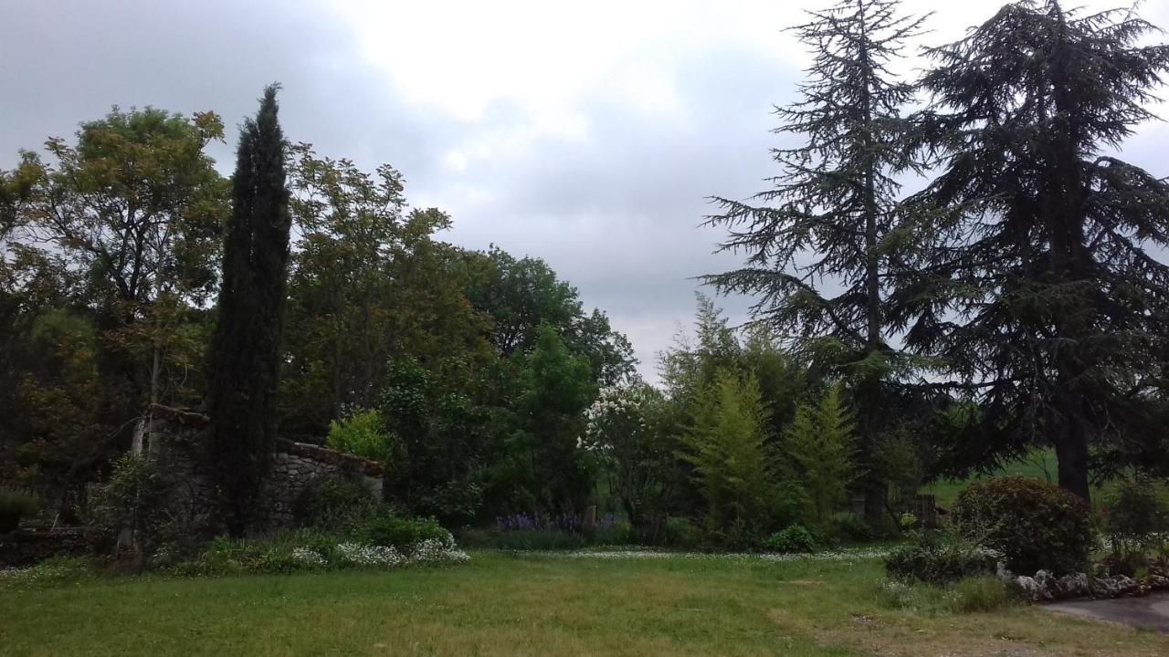 Domaine De Seguela Bed & Breakfast Fargues  Dış mekan fotoğraf