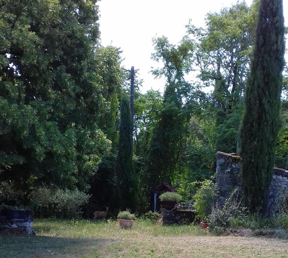 Domaine De Seguela Bed & Breakfast Fargues  Dış mekan fotoğraf