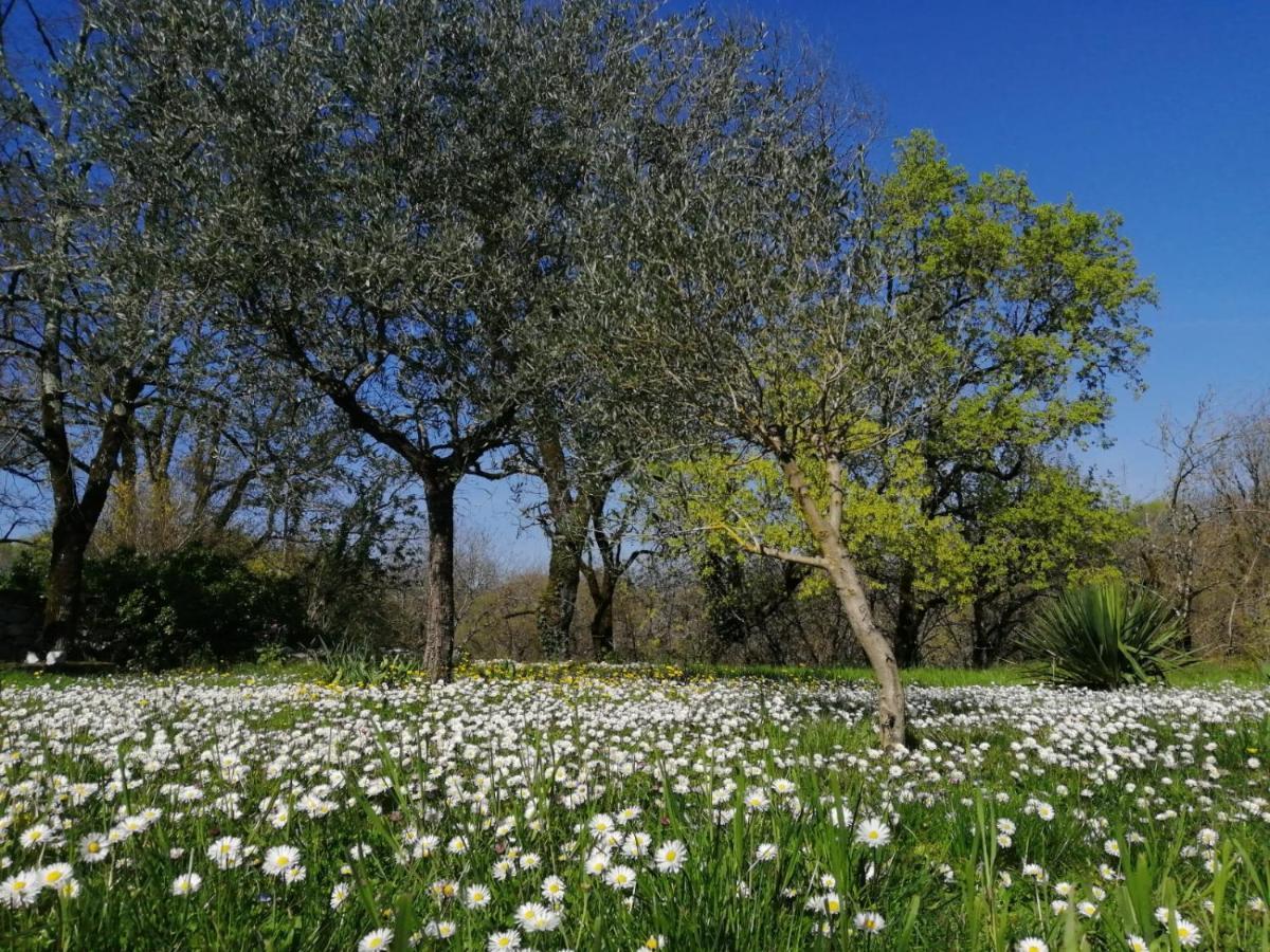 Domaine De Seguela Bed & Breakfast Fargues  Dış mekan fotoğraf