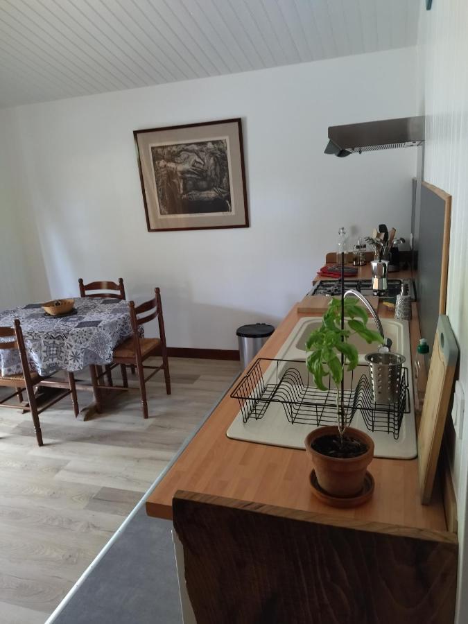 Domaine De Seguela Bed & Breakfast Fargues  Dış mekan fotoğraf