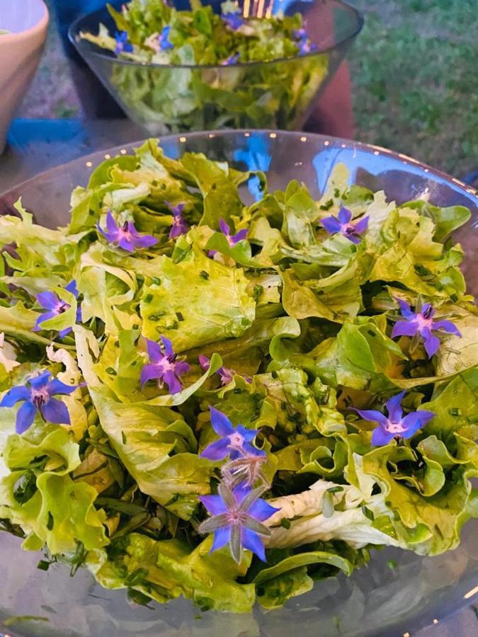 Domaine De Seguela Bed & Breakfast Fargues  Dış mekan fotoğraf