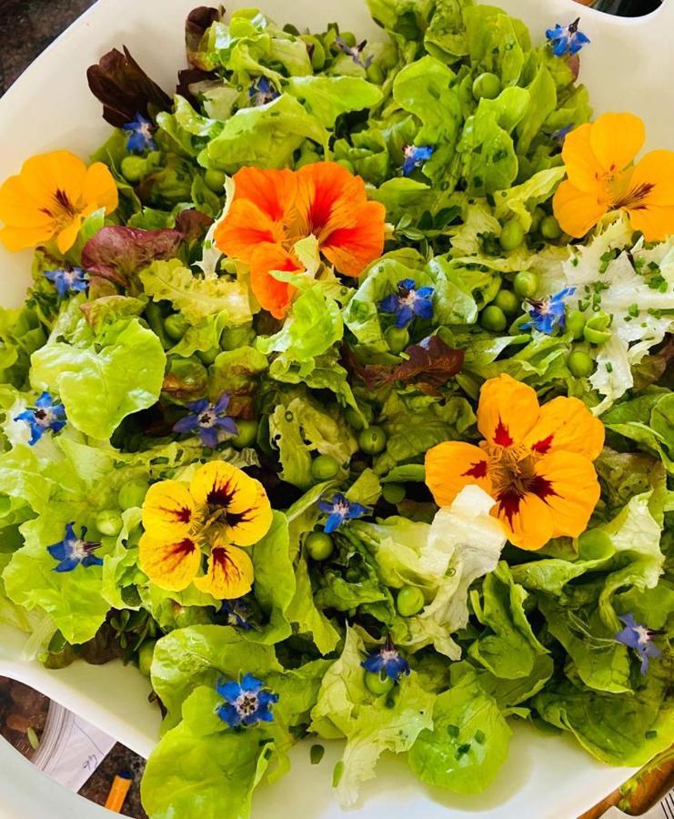 Domaine De Seguela Bed & Breakfast Fargues  Dış mekan fotoğraf